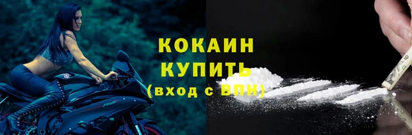 кокс Богородицк