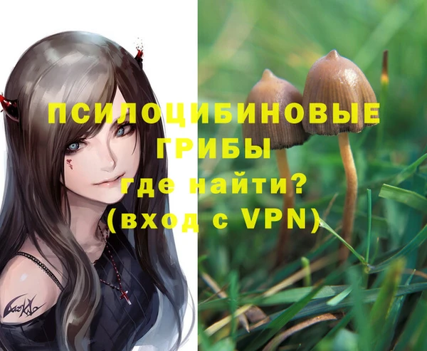 jwh Богданович