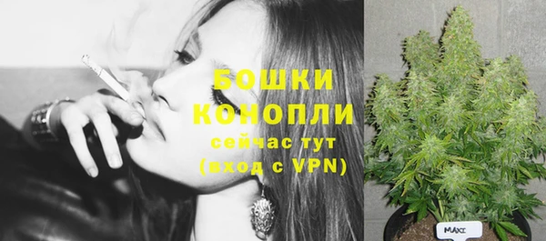 кокс Богородицк