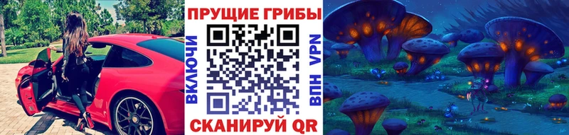 цены наркотик  Грозный  Галлюциногенные грибы Magic Shrooms 